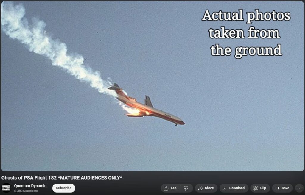 What a Real Plane Crash Looks Like