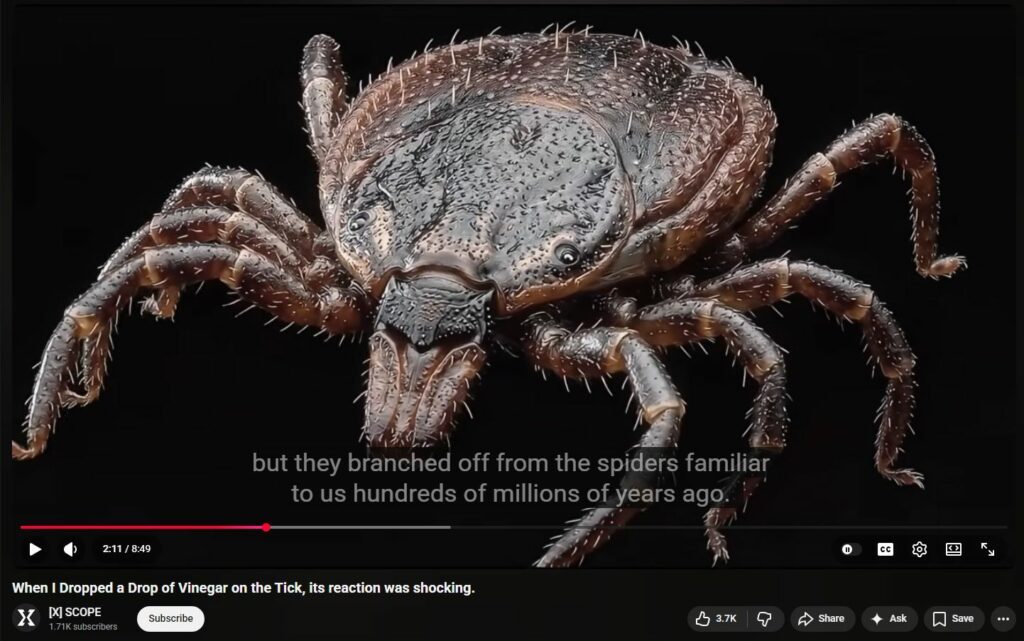 20260529